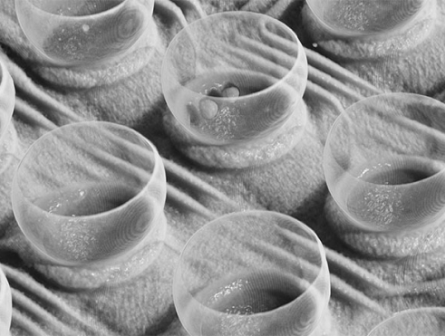 etc-7 - Kopie 1 Computed Laminography (CT)
Our CT systems provide the highest-resolution 3D non-destructive failure analysis of semiconductor devices.